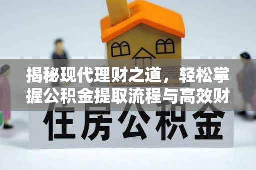 太湖揭秘现代理财之道，轻松掌握公积金提取流程与高效财务规划