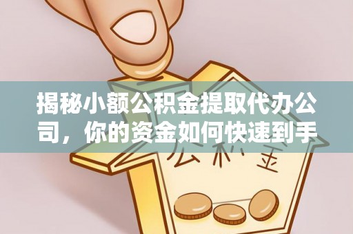 太湖揭秘小额公积金提取代办公司，你的资金如何快速到手？