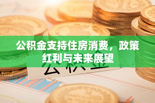 太湖公积金支持住房消费，政策红利与未来展望