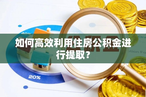 太湖如何高效利用住房公积金进行提取？
