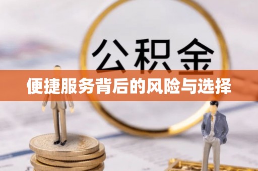 太湖便捷服务背后的风险与选择