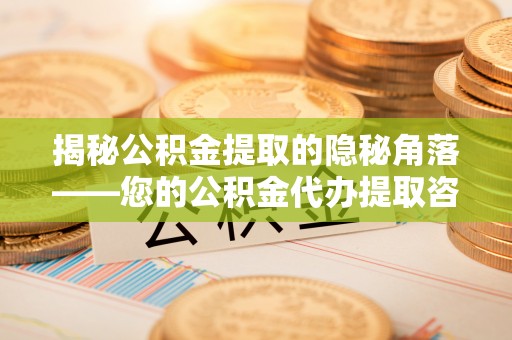 太湖揭秘公积金提取的隐秘角落——您的公积金代办提取咨询指南