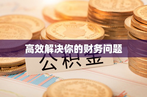太湖高效解决你的财务问题
