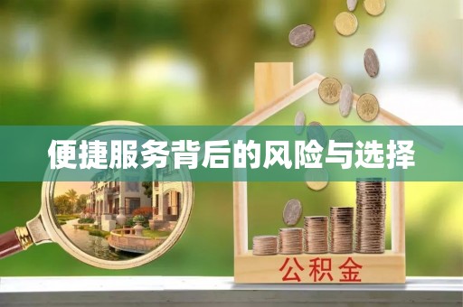 太湖便捷服务背后的风险与选择