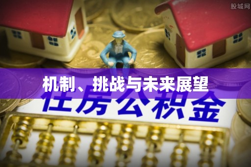 太湖机制、挑战与未来展望