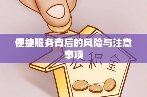 太湖便捷服务背后的风险与注意事项