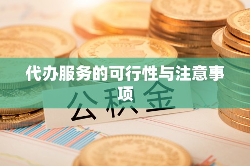 太湖代办服务的可行性与注意事项